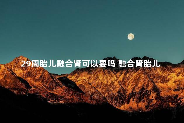 29周胎儿融合肾可以要吗 融合肾胎儿是大问题吗